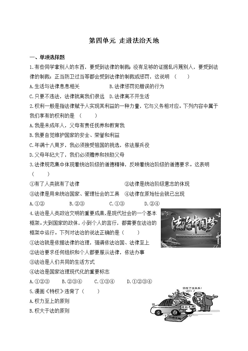 人教版《道德与法治》七年级下册第四单元 走进法治天地 检测题01