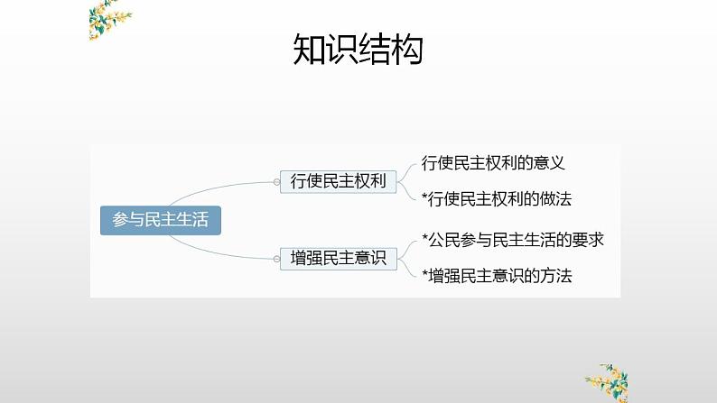 部编版道德与法治九年级上册第三课追求民主价值3.2参与民主生活复习课件课件第3页