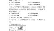 2020-2021学年第二单元  友谊的天空综合与测试巩固练习