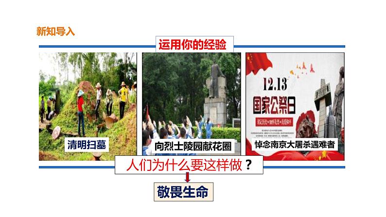 2021-2022学年部编版道德与法治七年级上册 8.2 敬畏生命 课件(28张PPT)03