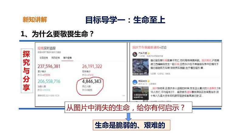 2021-2022学年部编版道德与法治七年级上册 8.2 敬畏生命 课件(28张PPT)04