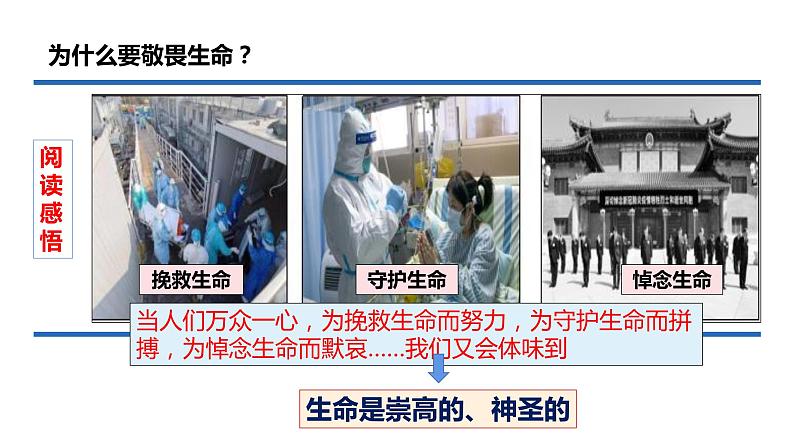 2021-2022学年部编版道德与法治七年级上册 8.2 敬畏生命 课件(28张PPT)06
