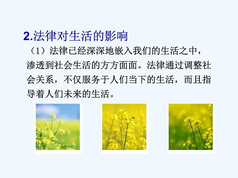 人教版道德与法治七年级下册 9.1 生活需要法律【课件】第8页