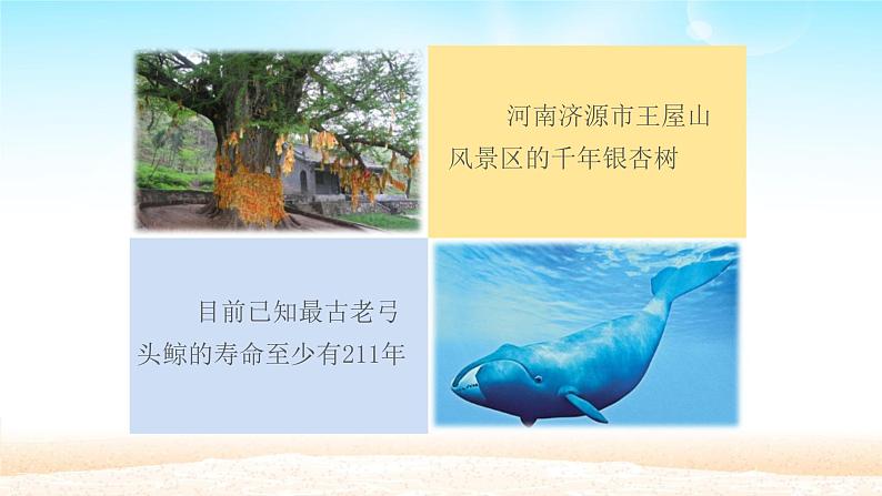 部编版(五四制)道德与法治六年级全一册 8.1 生命可以永恒吗(1)(课件)第4页