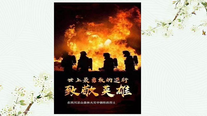 部编版(五四制)道德与法治六年级全一册 8.2 敬畏生命(课件)第4页