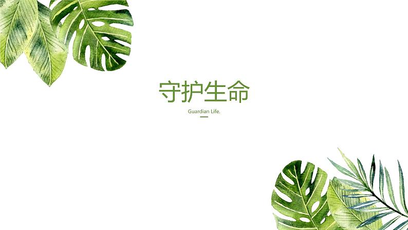 部编版(五四制)道德与法治六年级全一册 9.1 《守护生命》教学(课件)第2页