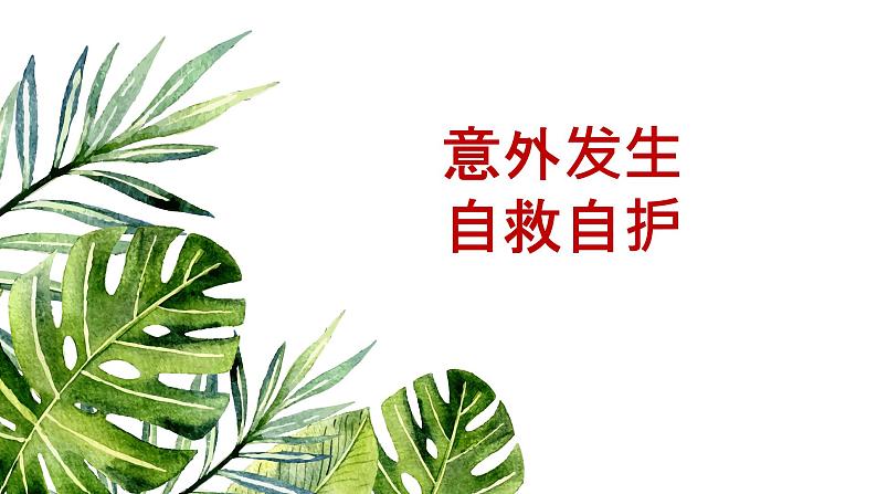部编版(五四制)道德与法治六年级全一册 9.1 《守护生命》教学(课件)第5页