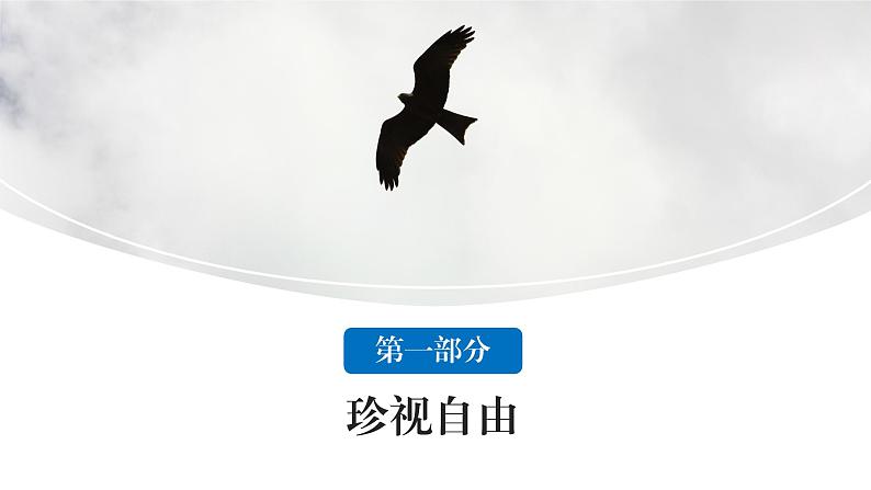 7.2 自由平等的追求 课件-2020-2021学年初中道德与法治人教版 八年级下册(共37张)第5页