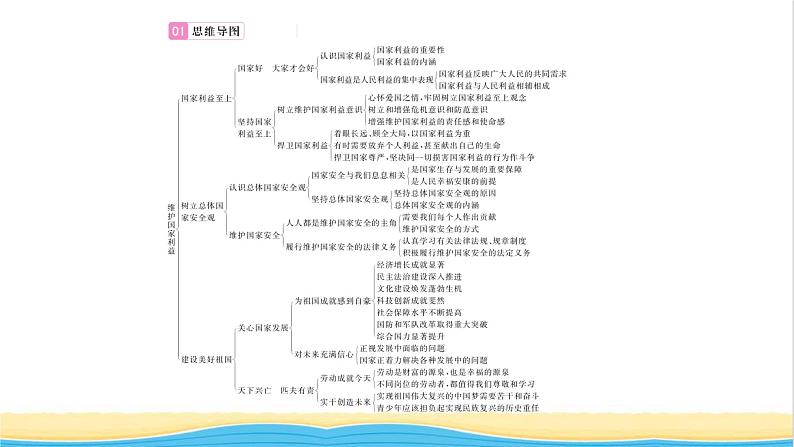 八年级道德与法治上册第四单元维护国家利益单元复习与小结习题课件新人教版02
