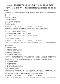 2021-2022学年安徽省芜湖市无为县七年级（上）期末道德与法治试卷  解析版