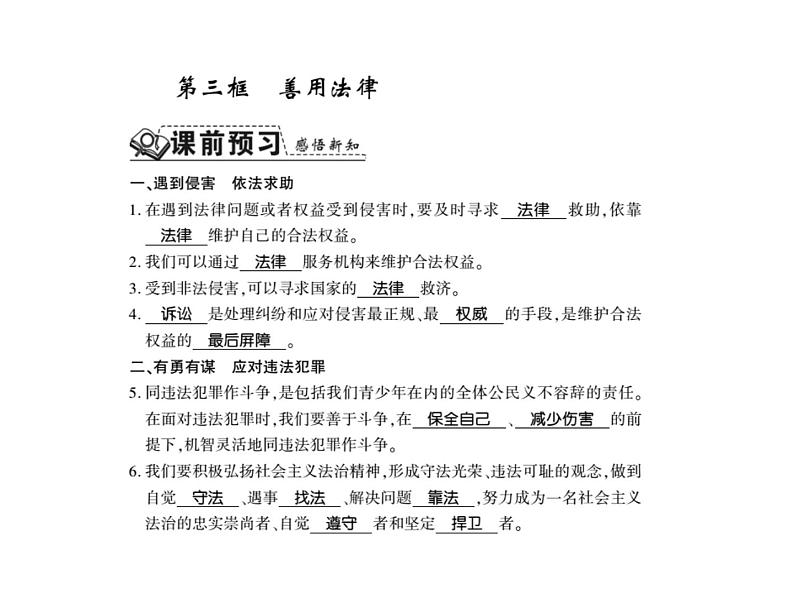 人教版八年级道德与法治上册习题课件:第五课第三框 善用法律01