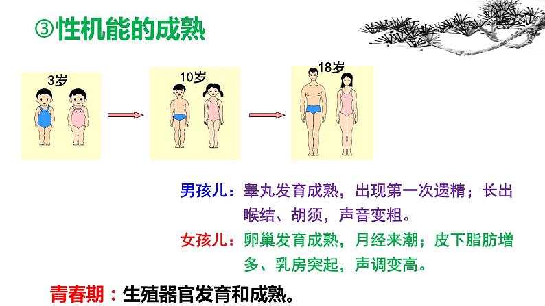 2021-2022学年统编版七年级下册 1.1 悄悄变化的我 课件(19张)第8页