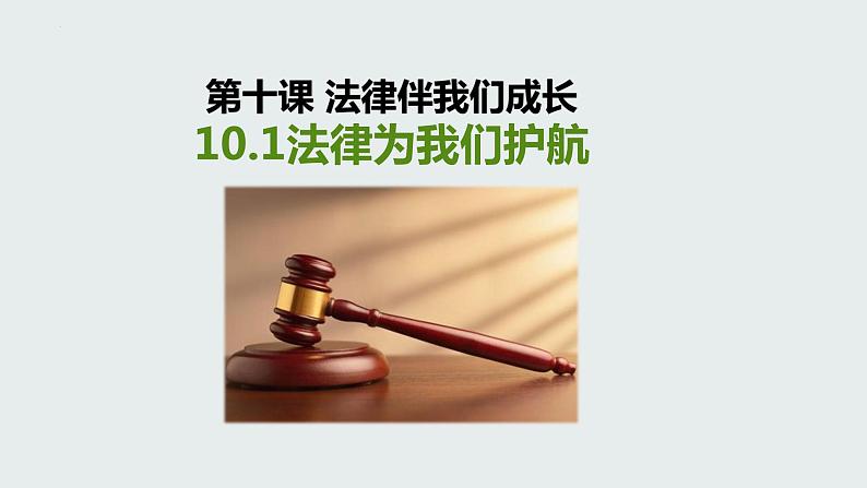 10.1法律为我们护航课件2021-2022学年部编版道德与法治七年级下册01