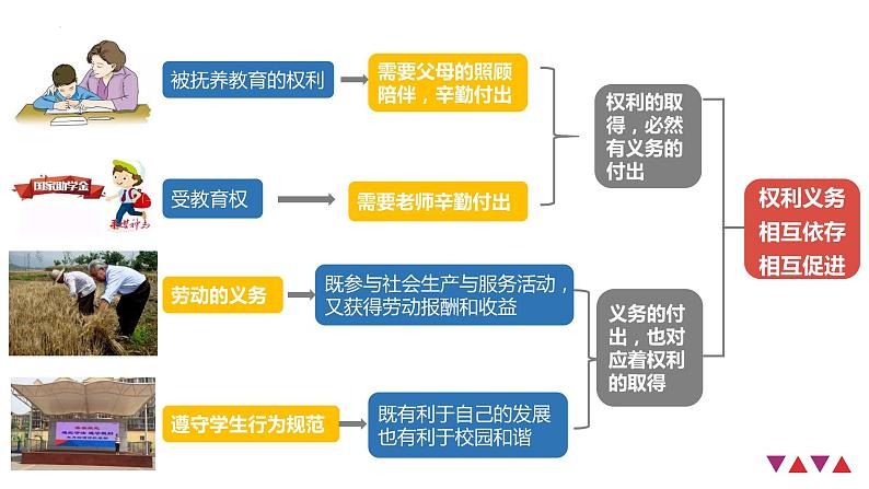 4.2 依法履行义务课件2021-2022学年部编版道德与法治八年级下册第6页