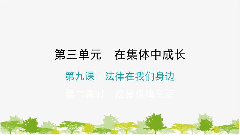 2021-2022学年统编版道德与法治七年级下册 9.2 法律保障生活 练习课件(18张)第1页