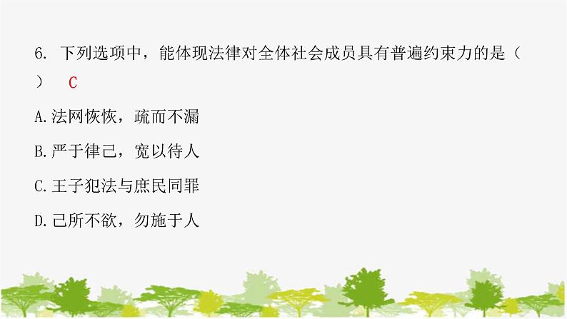 2021-2022学年统编版道德与法治七年级下册 9.2 法律保障生活 练习课件(18张)第7页