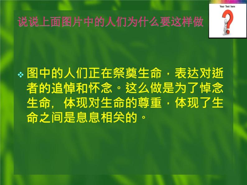 部编版道德与法治七年级上册 8 .2  敬畏生命(6)（课件）07