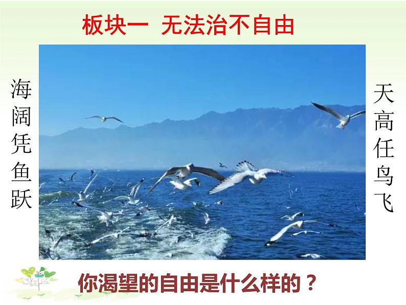 初中道德与法治人教版(部编)八年级下册自由平等的真谛部优课件第6页