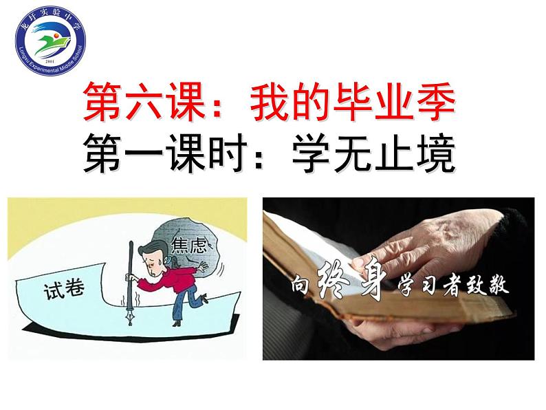 初中道德与法治人教版(部编)九年级下册《学无止境》部优课件04