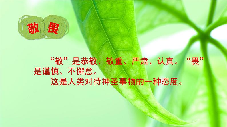 初中道德与法治人教版(部编)敬畏生命部优课件第3页