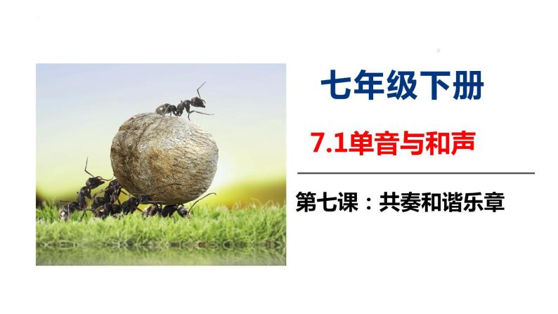 2021-2022学年道德与法治七年级下册 7.1单音与和声_2课件PPT01