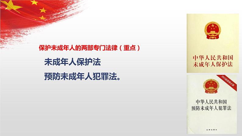 第十课 法律为我们护航 复习课件第6页