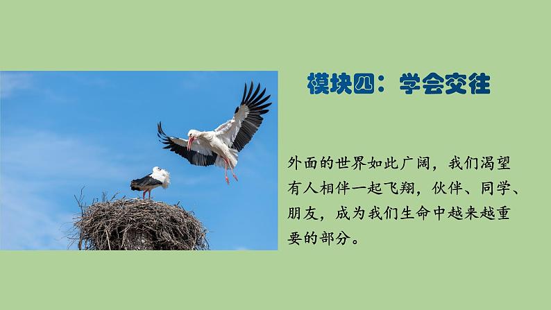 人教版道德与法治中考复习课件 模块四:学会交往01
