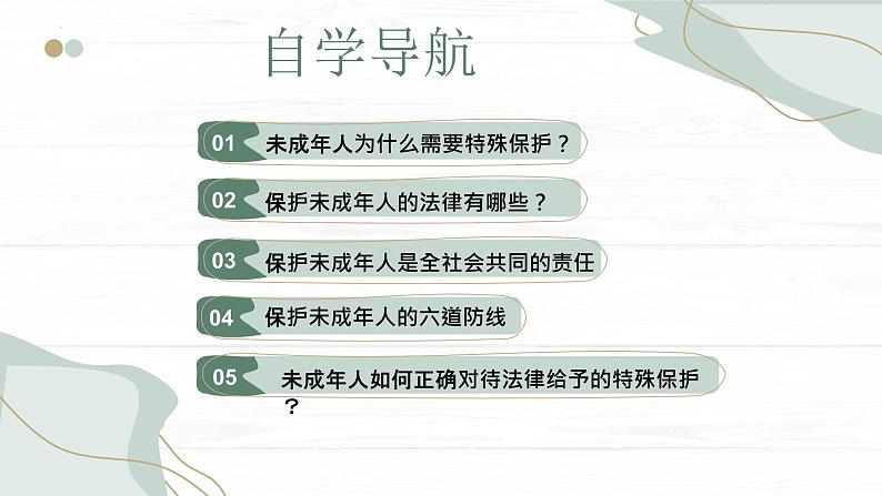 10.1法律为我们护航课件2021-2022学年部编版道德与法治七年级下册04