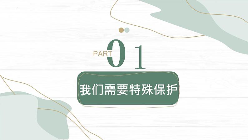 10.1法律为我们护航课件2021-2022学年部编版道德与法治七年级下册05