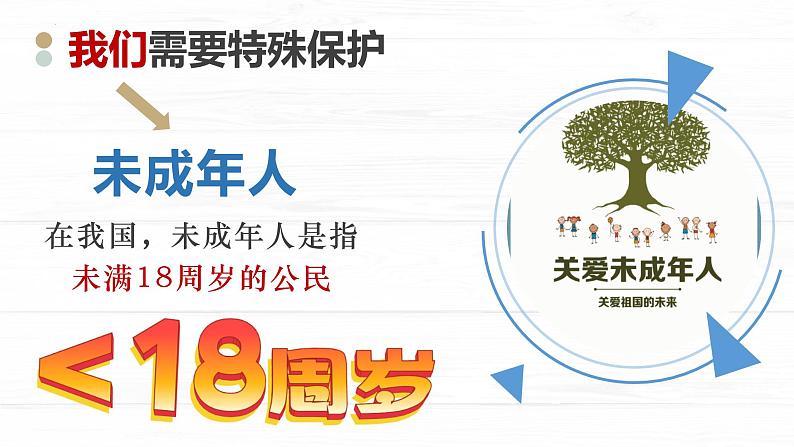 10.1法律为我们护航课件2021-2022学年部编版道德与法治七年级下册06
