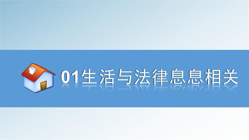 9.1生活需要法律 課件第4頁