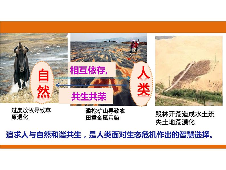 6.2共筑生命家园第4页