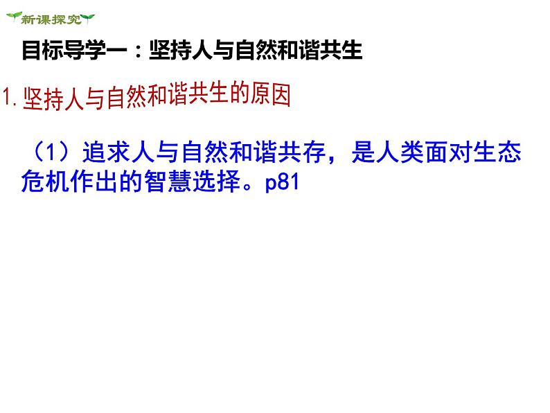 6.2共筑生命家园第5页