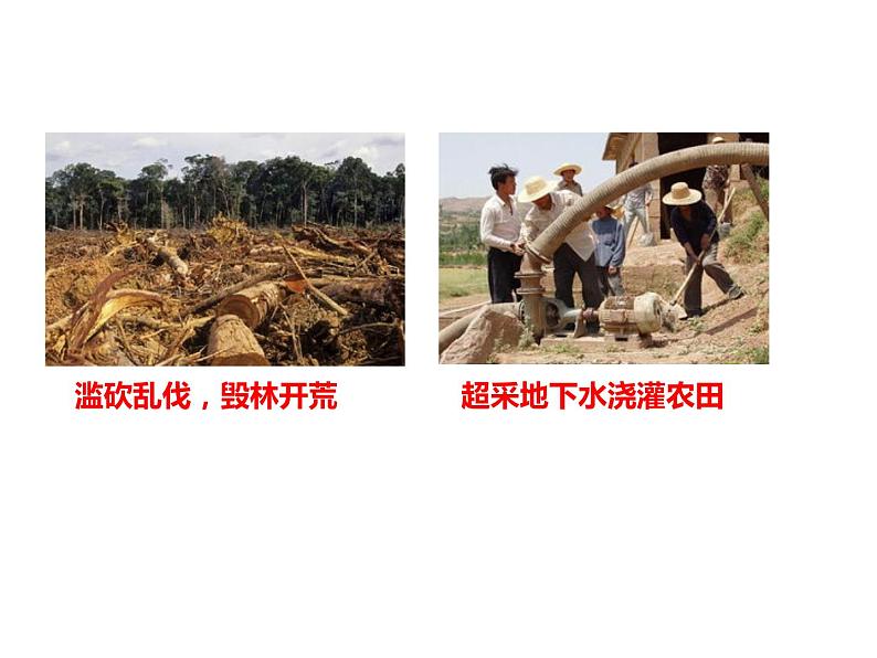 6.2共筑生命家园第6页