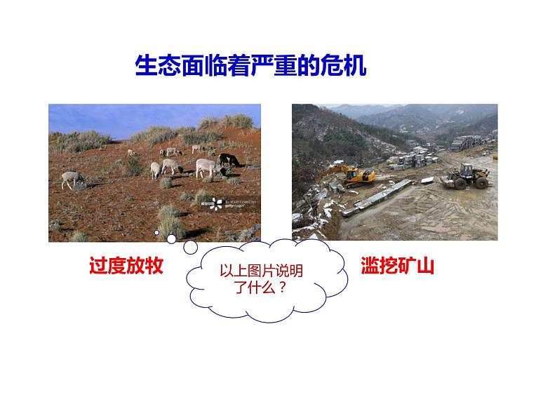 6.2共筑生命家园第7页
