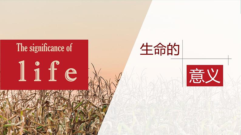 人教版《道德与法治》七年级上册 10.1 感受生命的意义 课件+教案+练习(3份打包)02
