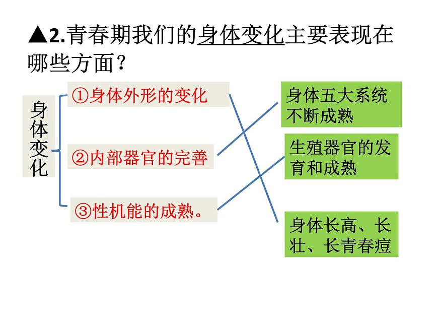 人教版道德與法治七年級下冊 第一課 青春的邀約 復(fù)習(xí)課件(共37張PPT)第4頁