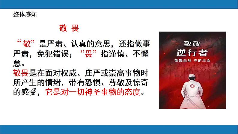 8.2敬畏生命2023-2024学年七上道德与法治课件第6页