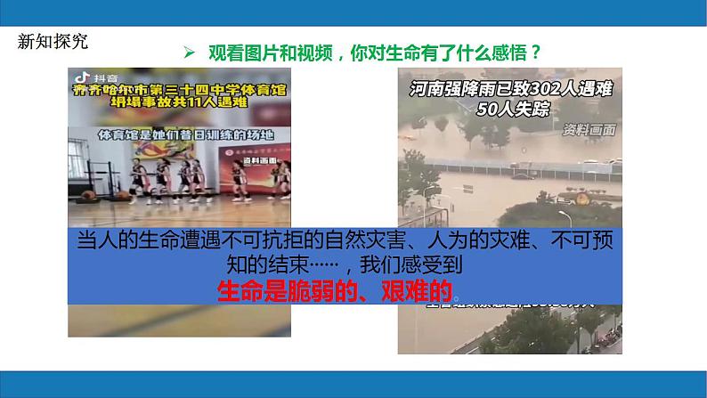 8.2敬畏生命2023-2024学年七上道德与法治课件第8页