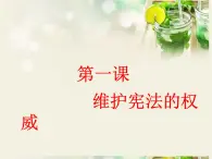 人教版道德与法治八年级下册第一课维护宪法的权威复习课件 (共29张ppt)