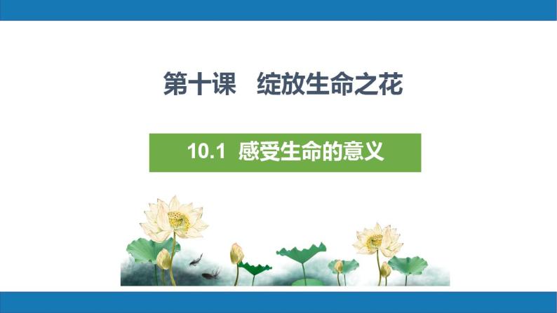 10.1感受生命的意义2023-2024学年七上道德与法治课件+教案04