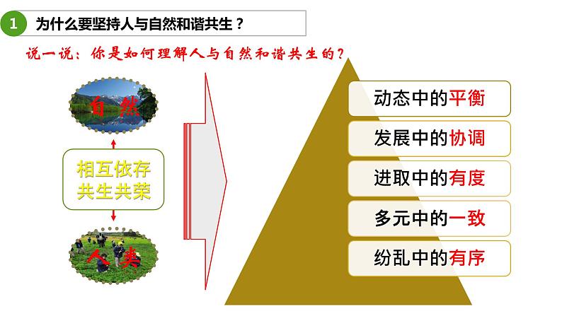 6.2共筑生命家园 课件+教案+练习(含素材)06