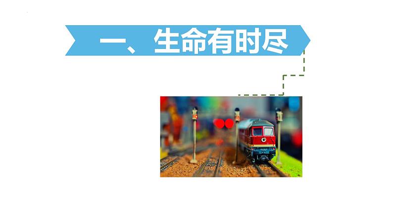 部编版七年级道德与法治上册--8.1 生命可以永恒吗(课件)第5页