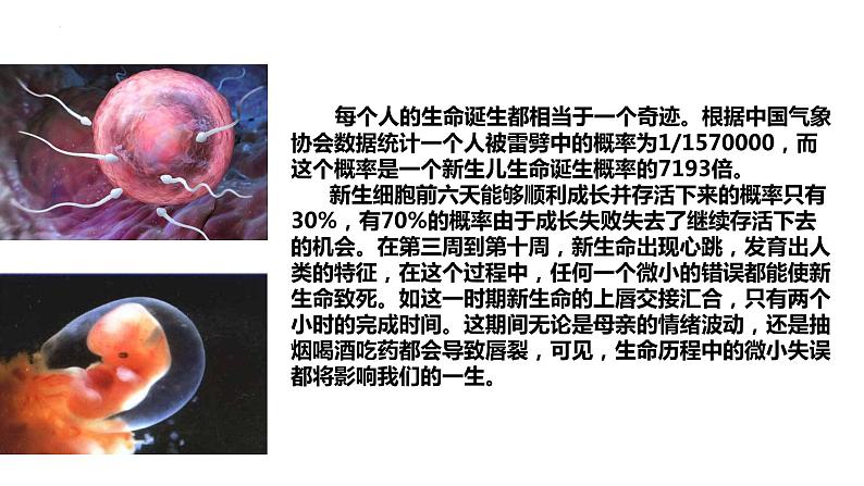 部编版七年级道德与法治上册--8.1 生命可以永恒吗(课件)第7页