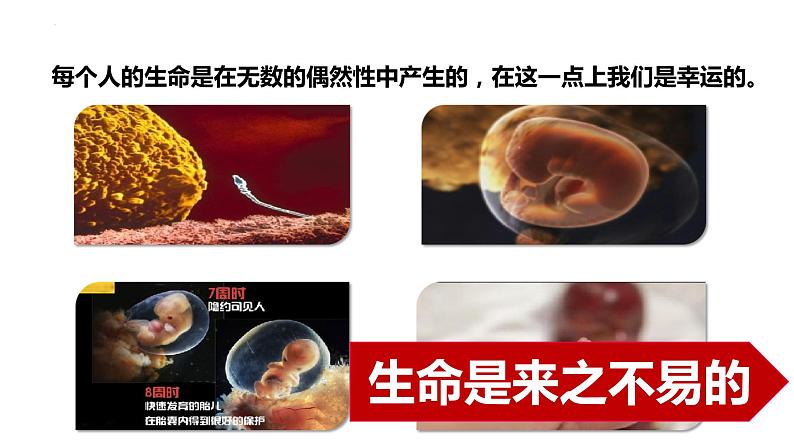 部编版七年级道德与法治上册--8.1 生命可以永恒吗(课件)第8页