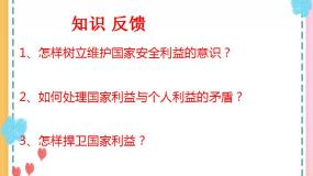初中政治 (道德与法治)人教部编版 (五四制)八年级上册认识总体国家安全观一等奖ppt课件
