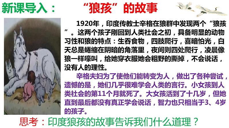 1.1 我与社会第1页