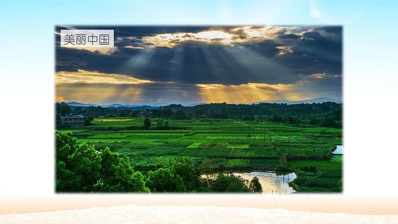 初中道德与法治 人教部编版(五四学制) 八年级上册 10.2 天下兴亡 匹夫有责 课件04