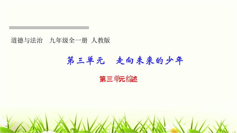 人教部编版九年级道德与法治下册第三单元综述PPT课件第1页