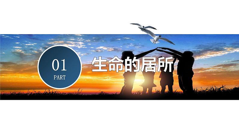 部编版道德与法治七年级上册--7.1 家的意味 课件第4页